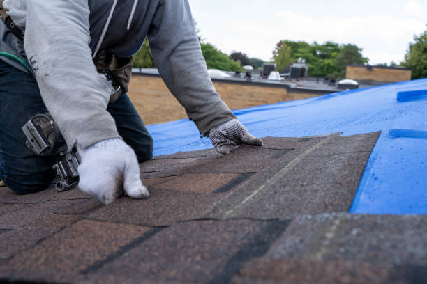 Quick and Trustworthy Emergency Roof Repair Services in South Lakes, AK
