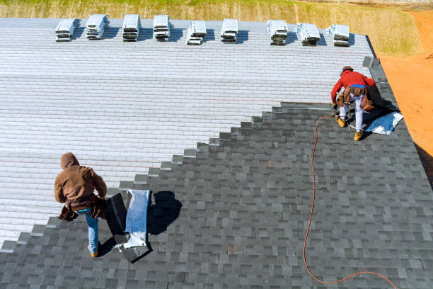 Best Local Roofing Companies  in South Les, AK