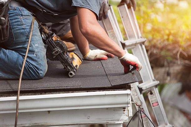 Best Storm Damage Roof Repair  in South Les, AK