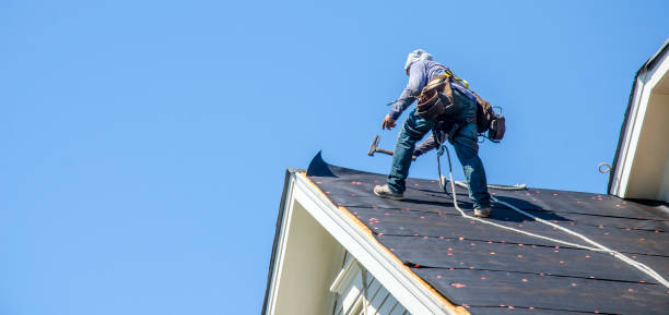 Best Metal Roofing Contractor  in South Les, AK